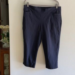 Navy crop pants